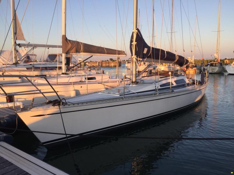 Dynamic 35