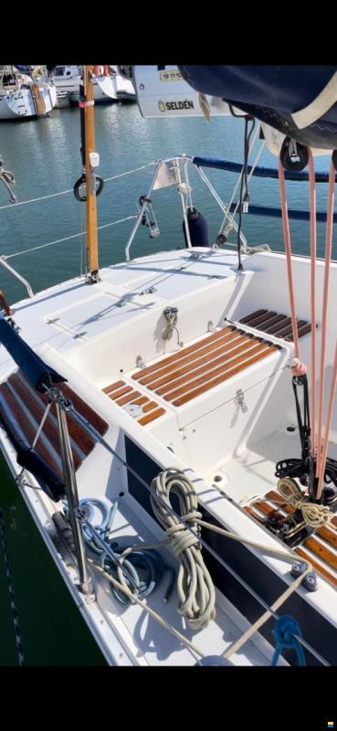 Dynamic 35