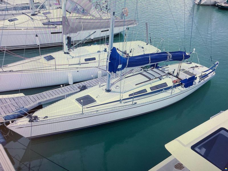 Dynamic 35