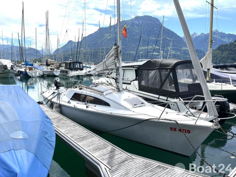 Archambault Surprise