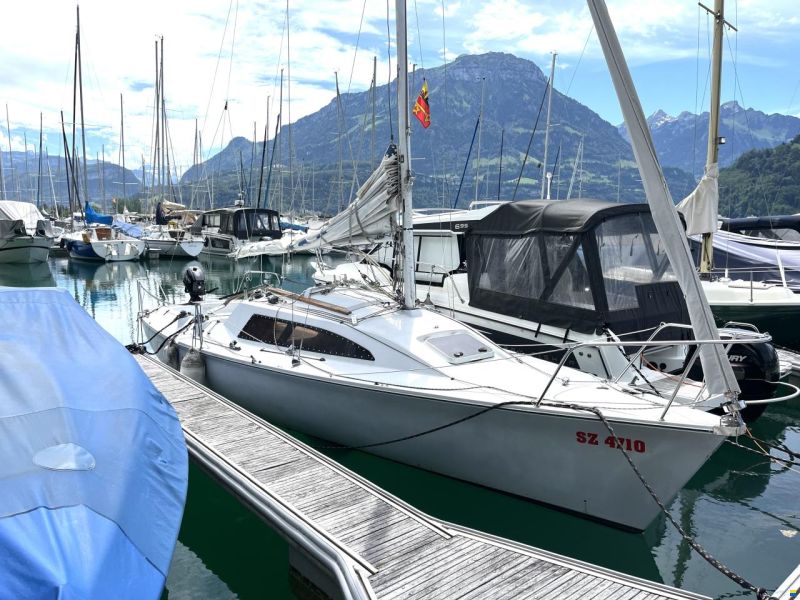 Archambault Surprise