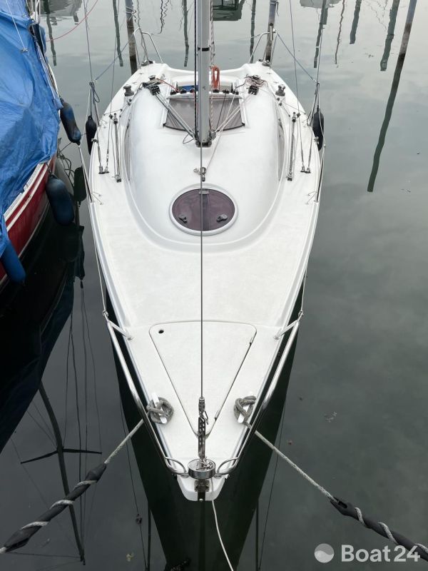 Archambault Surprise