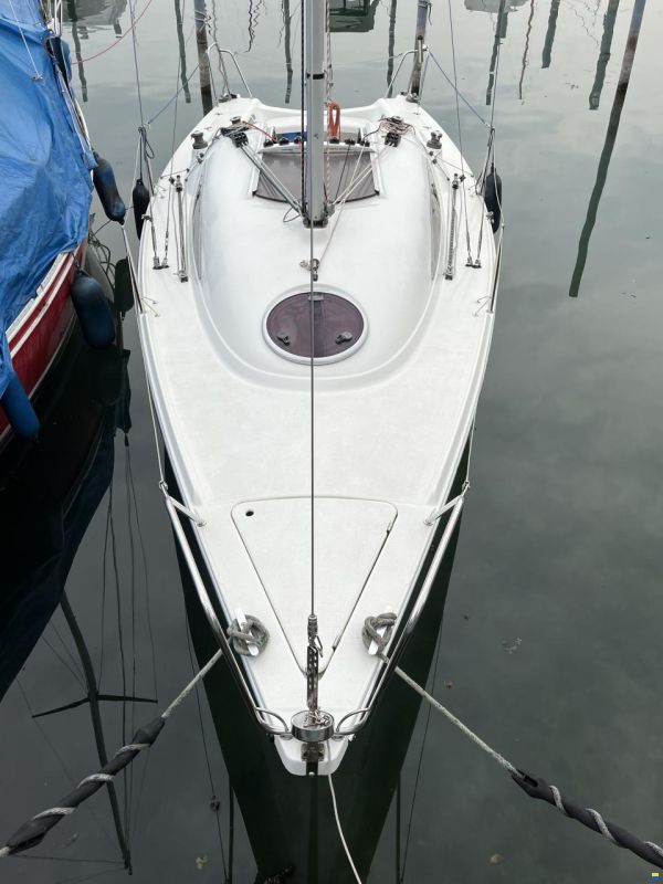 Archambault Surprise