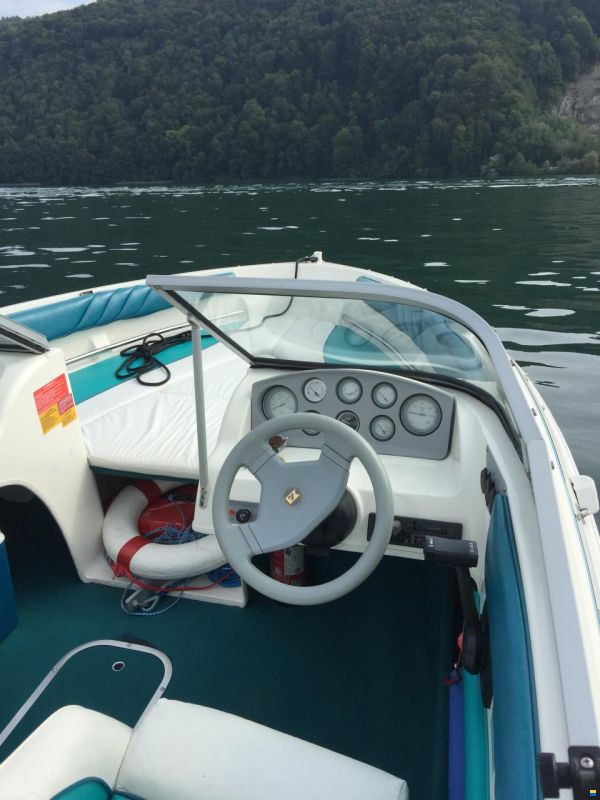 LARSON ALL AMERICAN 190 BR