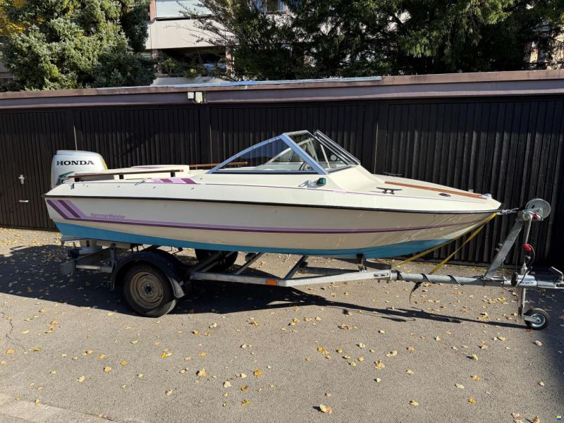 Hammermeister Starlet