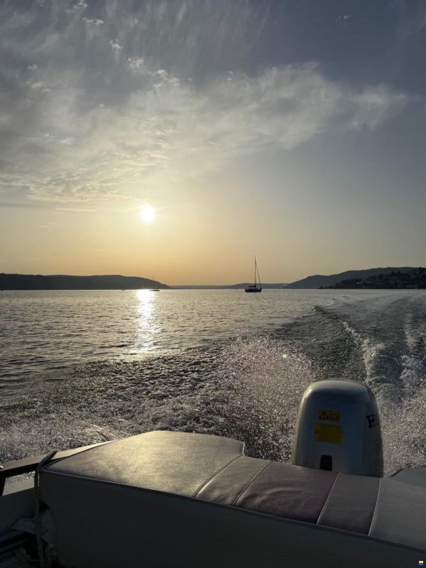 Hammermeister Starlet