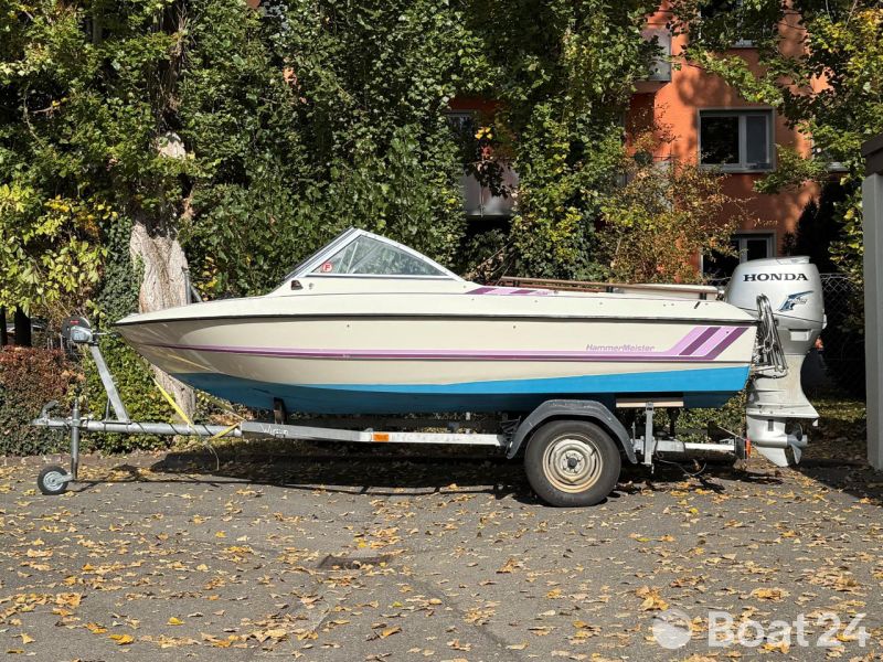 Hammermeister Starlet