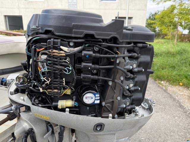 Hammermeister Starlet