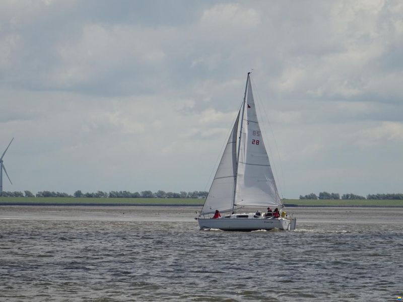 Parker 31