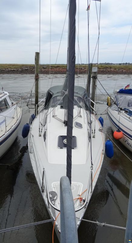 Parker 31