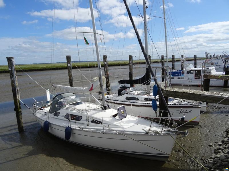 Parker 31