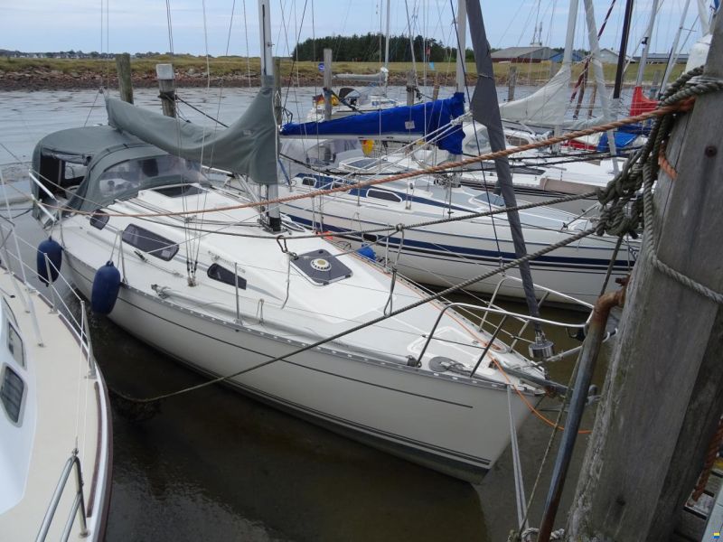Parker 31