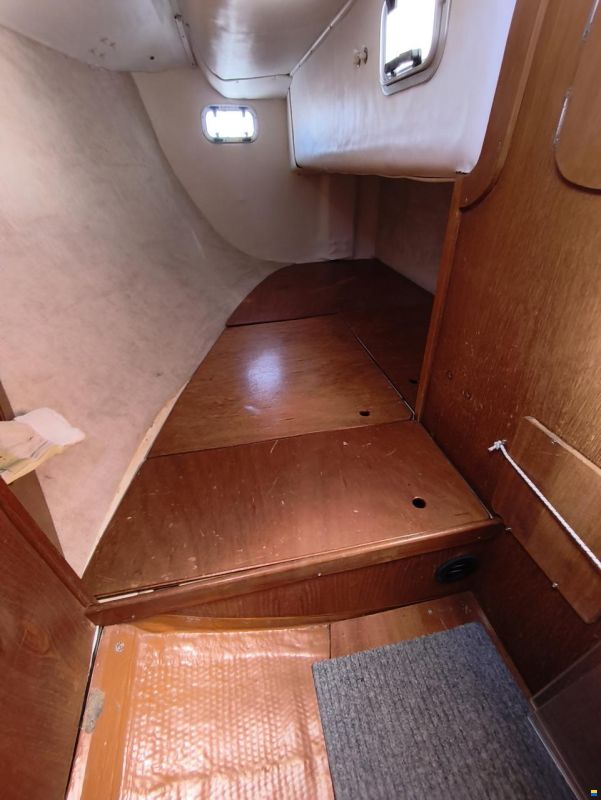 Parker 31
