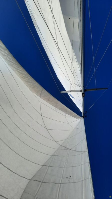Sirius 31