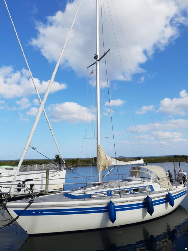 Sirius 31