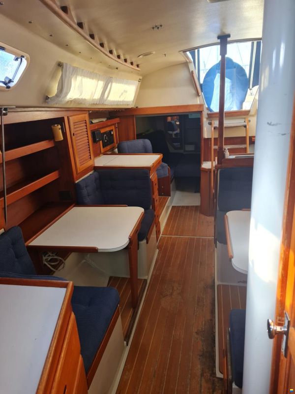 Catalina 36