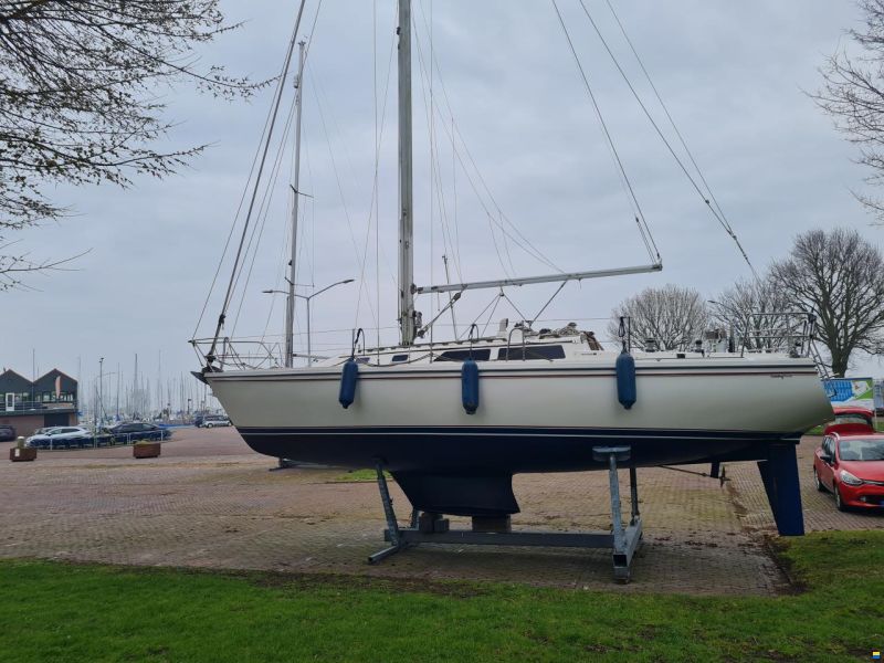 Catalina 36