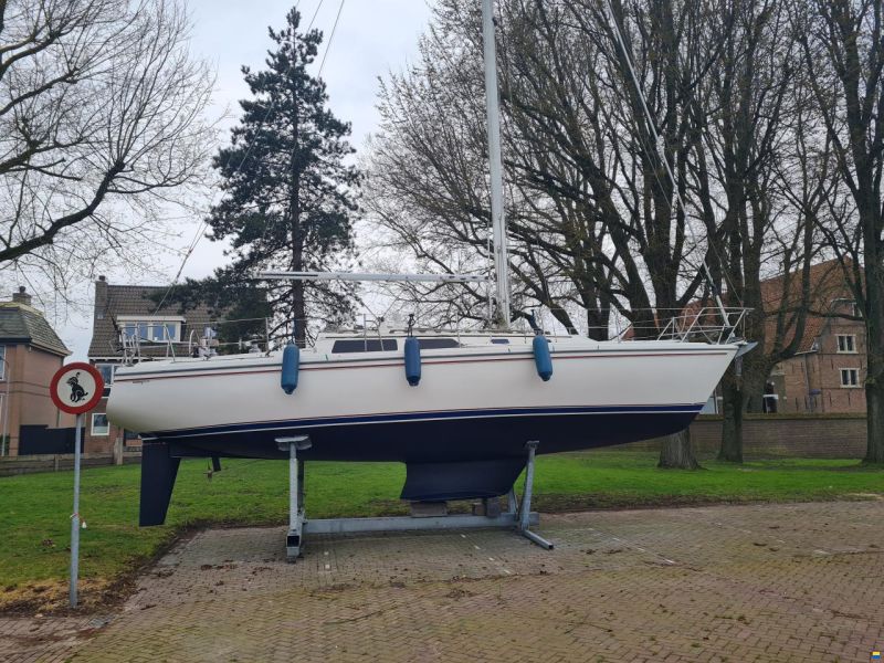 Catalina 36