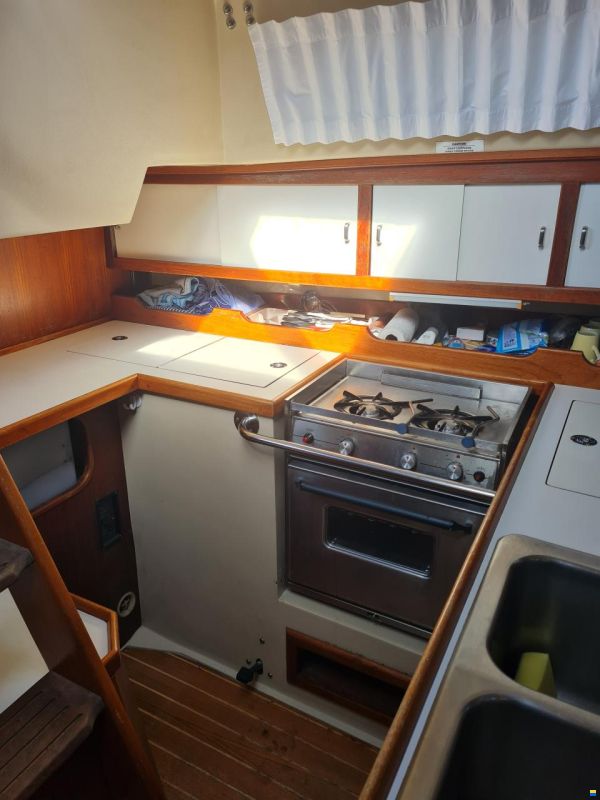 Catalina 36