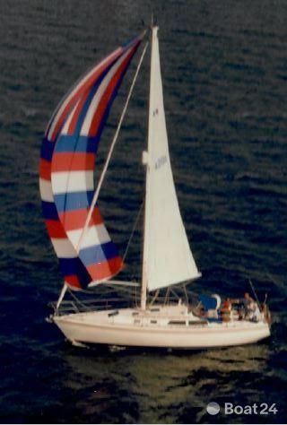 Catalina 36