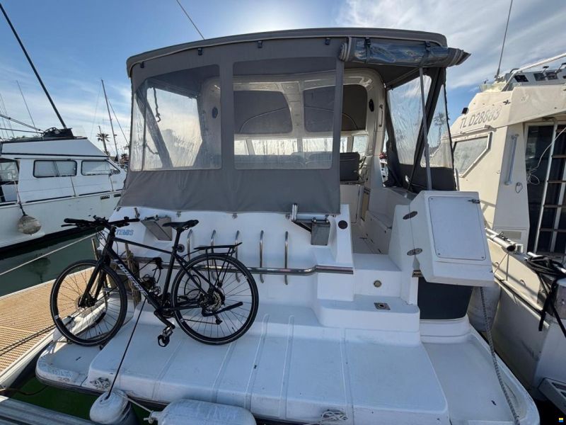 Sealine 365 SB