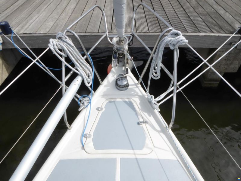 Dehler 36 CWS