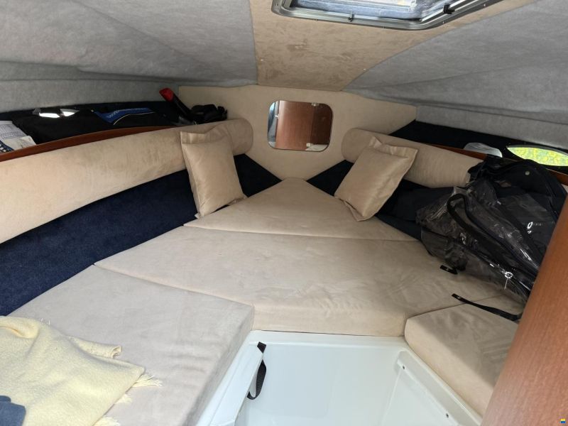 Europe Marine Viper 243