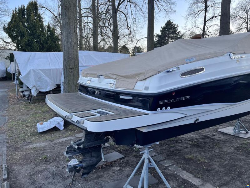 Bayliner Cuddy 642
