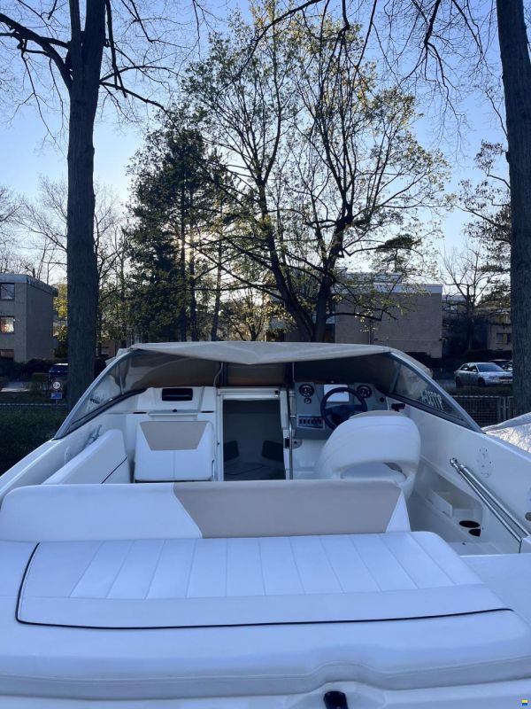 Bayliner Cuddy 642