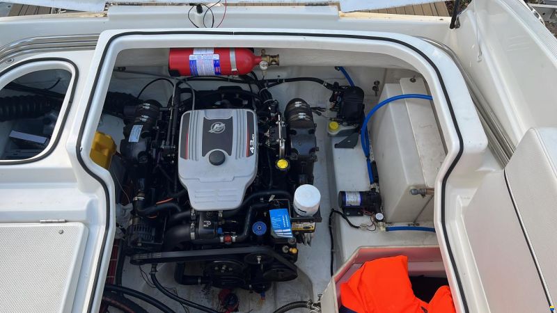 Bayliner Cuddy 642