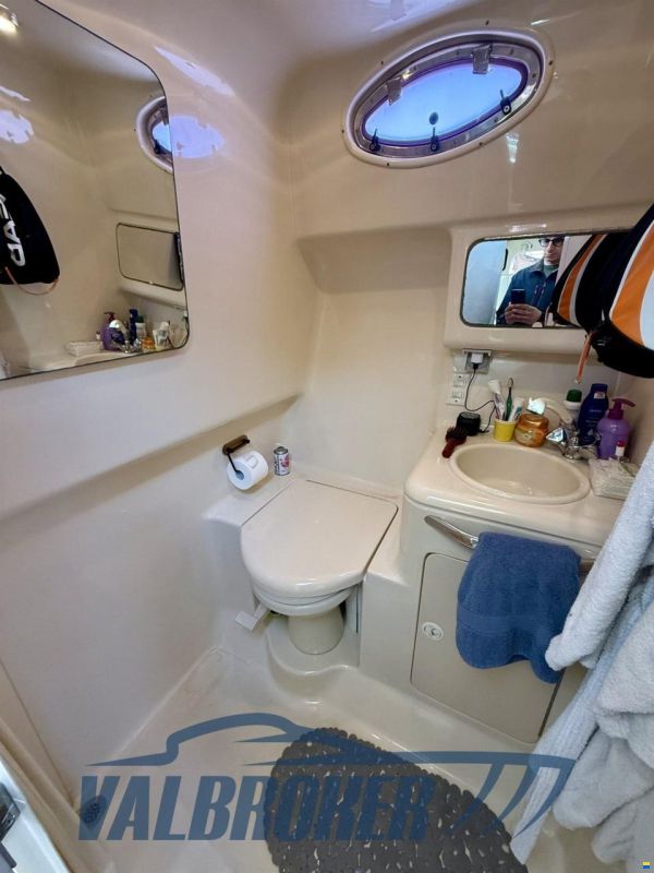 Sea Ray 330 AMBERJACK