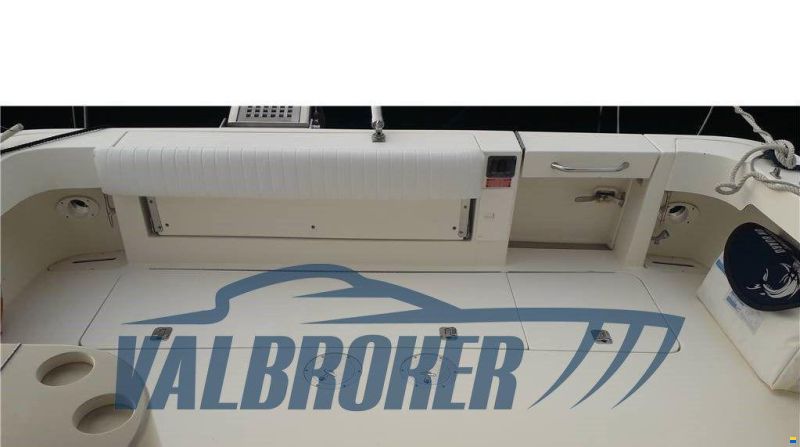 Sea Ray 330 AMBERJACK