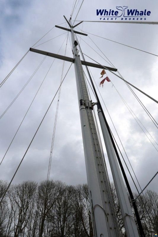 Koopmans 48