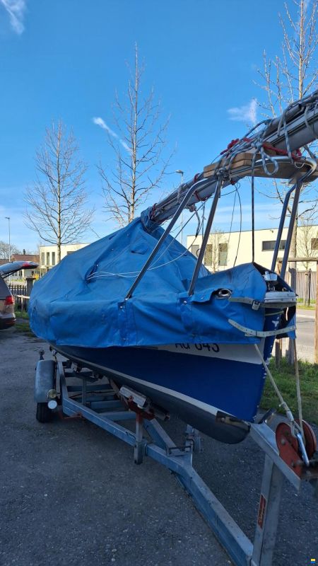 Staempfli Rafale 600