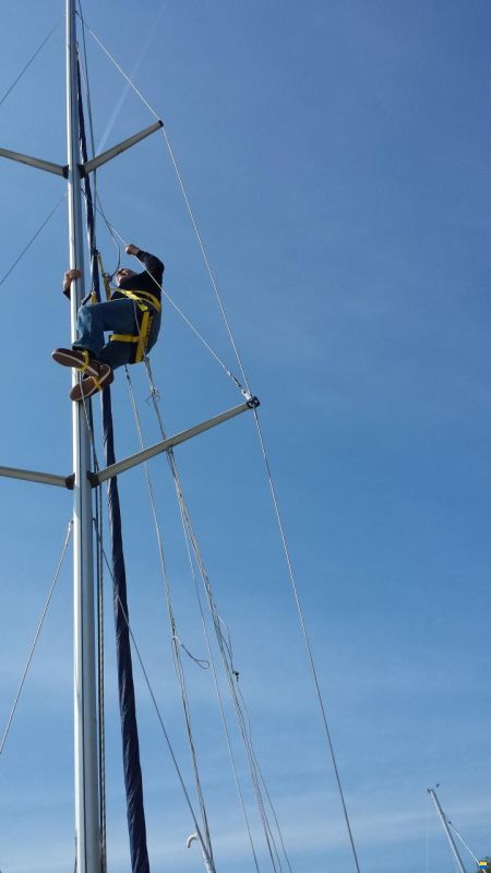 Bavaria 32