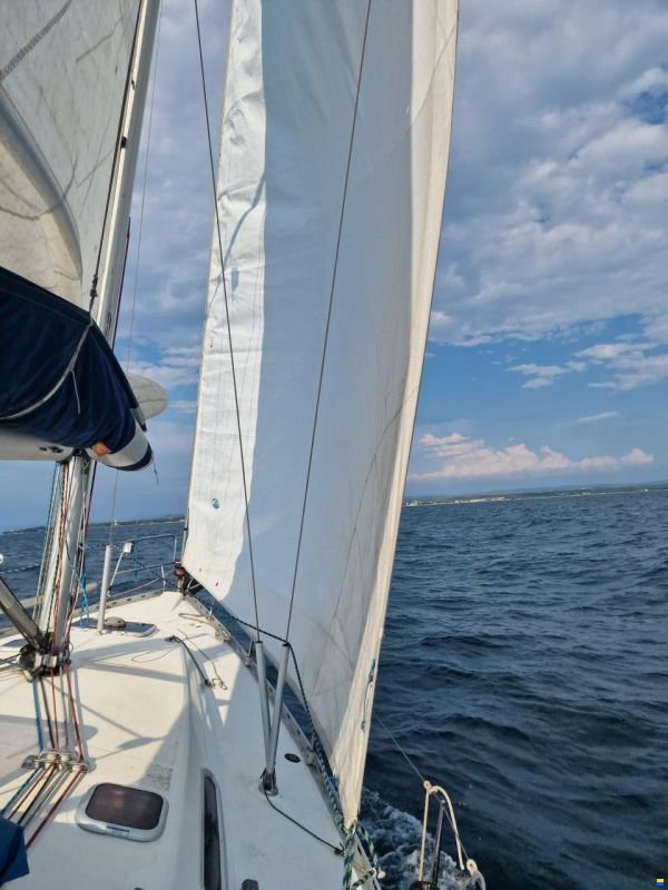 Dufour 36 Classic