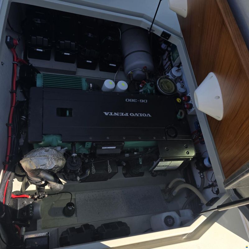 Sargo 28