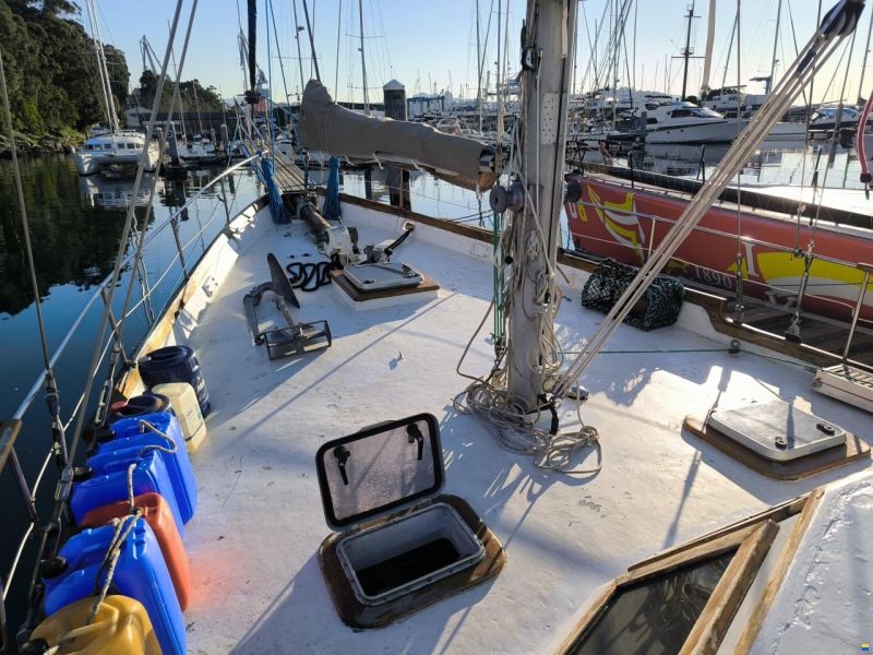 Samson C Baron 55
