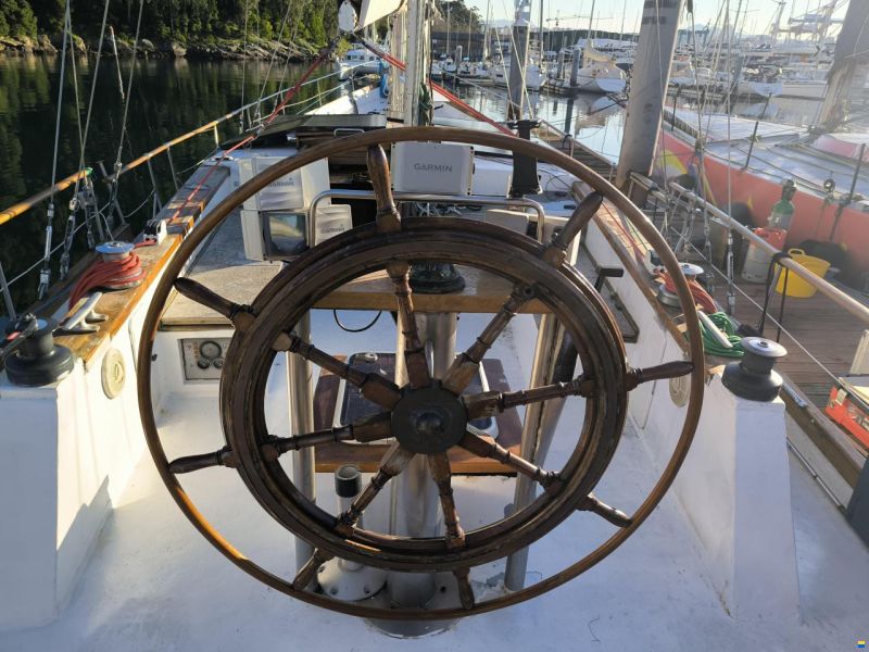 Samson C Baron 55