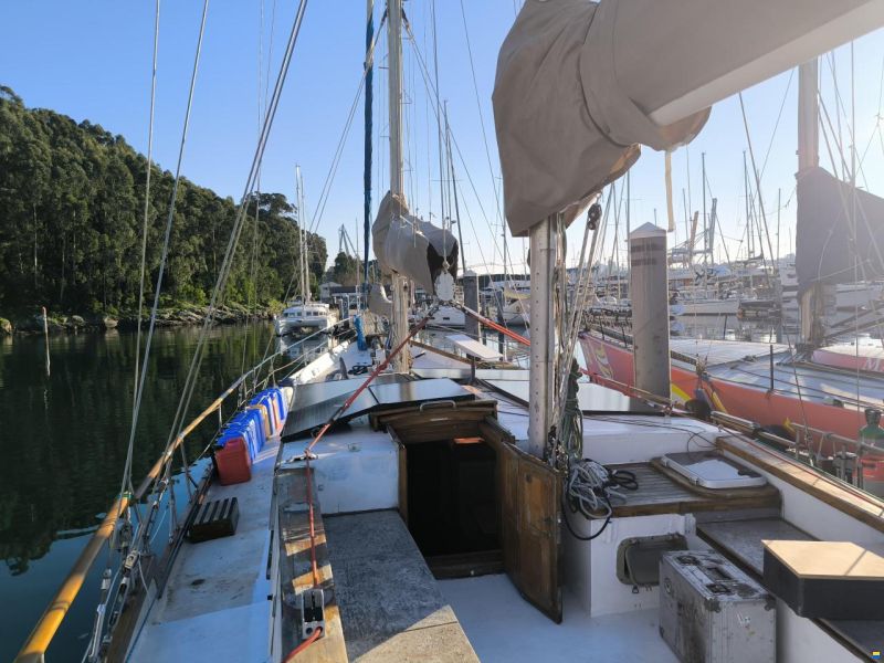 Samson C Baron 55