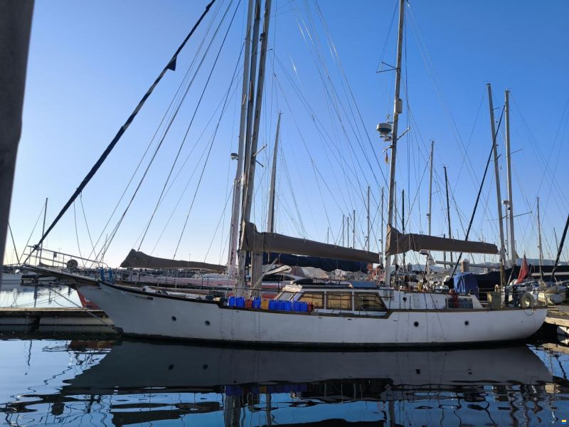 Samson C Baron 55