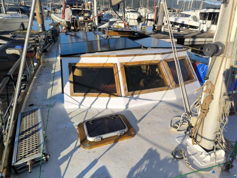 Samson C Baron 55