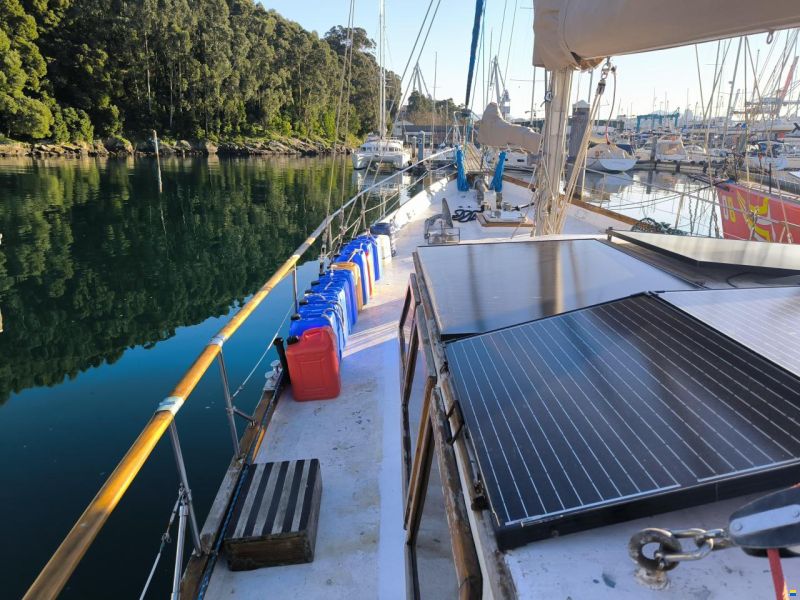 Samson C Baron 55