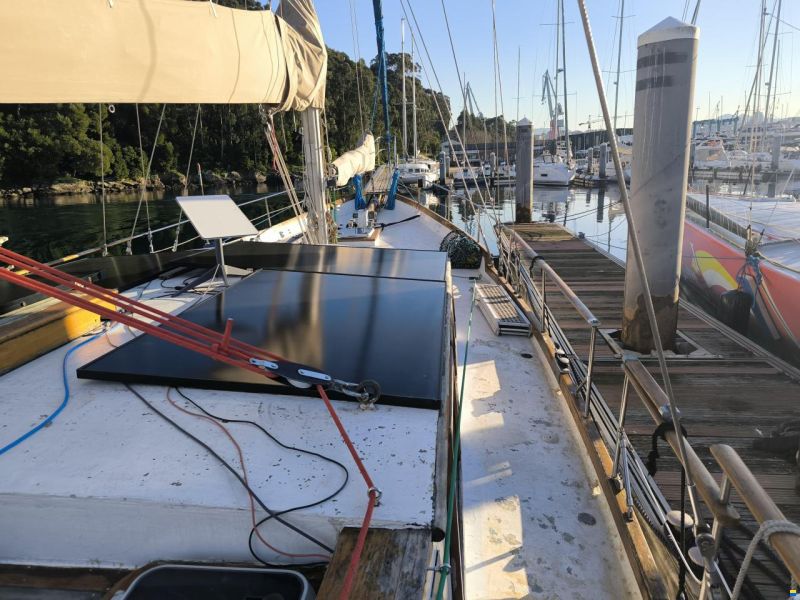 Samson C Baron 55