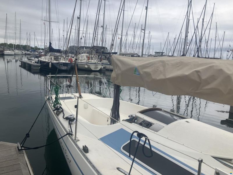 Helmsmann Helmsman Lady Helmsman