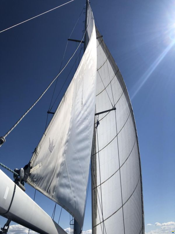 Schöchl Sunbeam 39