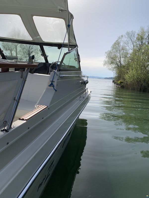 Regal Ambassador 245XL