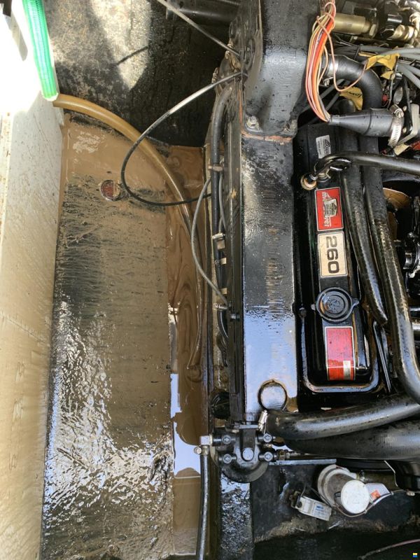 Regal Ambassador 245XL