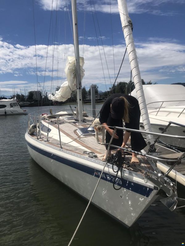 Gilbert Marine Gib Sea 31