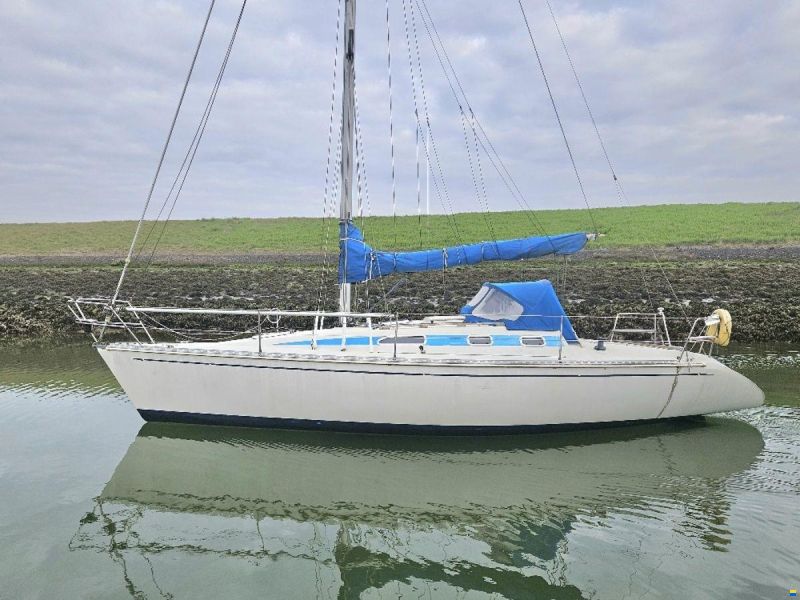 Elan 33